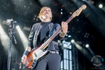 broilers_vainstream-1108