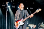 broilers_vainstream-1148