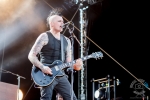 broilers_vainstream-1204