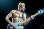 rhcp_koeln-4199