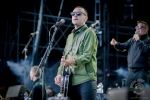 dropkickmurphys_rockamring-8789