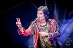 thestruts_rockamring-9838
