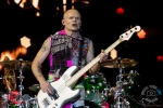 rhcp_rar-6368