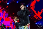 rhcp_rar-9132