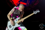 rhcp_rar-9201
